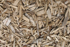 biomass boilers Freston
