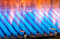 Freston gas fired boilers